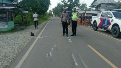SEPASANG