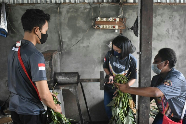 Satgas Binmas Noken Ops Damai Cartenz Mempelajari Cara Berternak Babi
