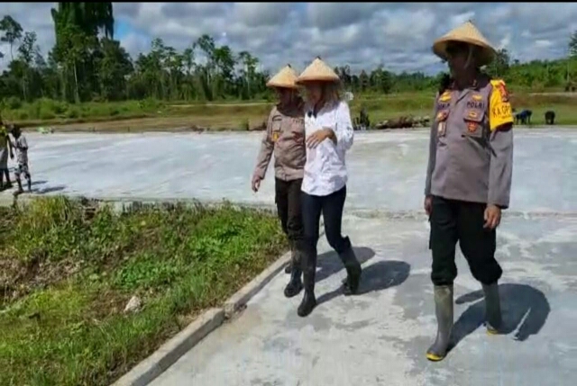 Kombes