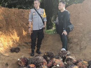 Oknum Polisi di Kotim Dilaporkan ke Mabes Polri