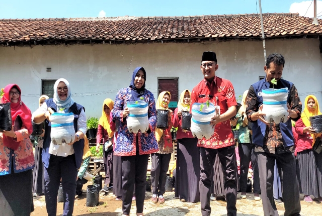 Pj Bupati 