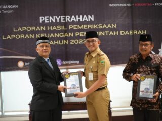 Pemerintah