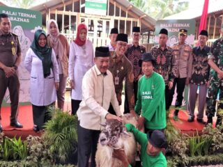 Badan
