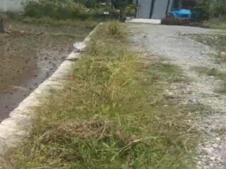 Masyarakat Desa Koto Beringin Berharap Inspektorat Turun Ke Lapangan
