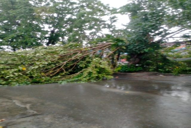 Hujan