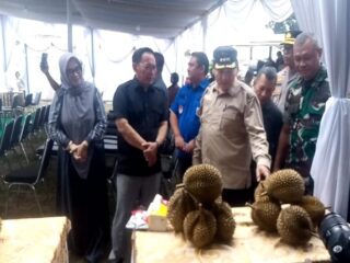 Karang