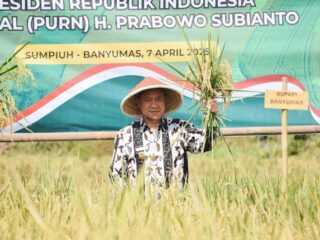 Bupati