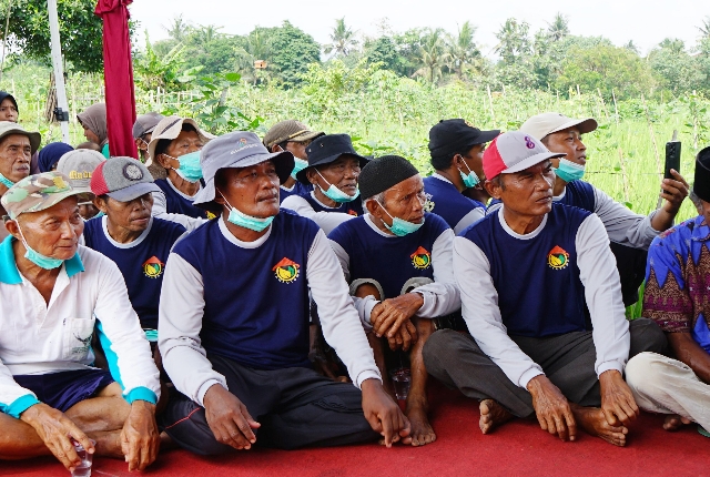 Bupati 