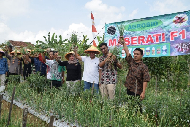 Bupati