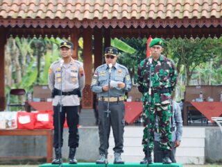 Bupati