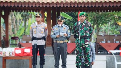 Bupati