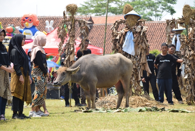 Bupati 